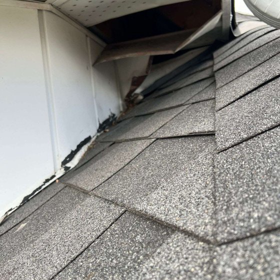 WhatsApp-Image-2024-10-29-at-10.21.15-AM-1