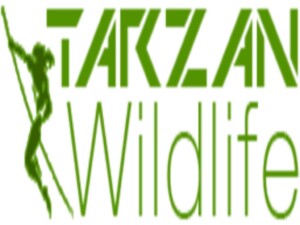 Tarzan-Logo