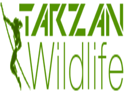 Tarzan Wildlife