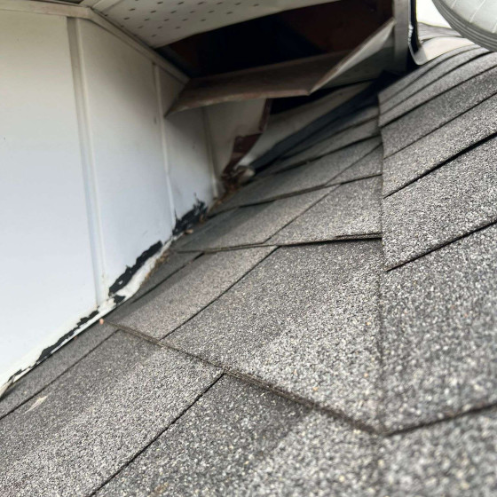 WhatsApp-Image-2024-10-29-at-10.21.15-AM-1