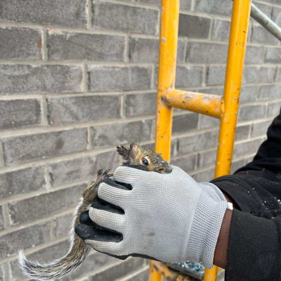 WhatsApp-Image-2024-11-16-at-12.53.58-AM-4